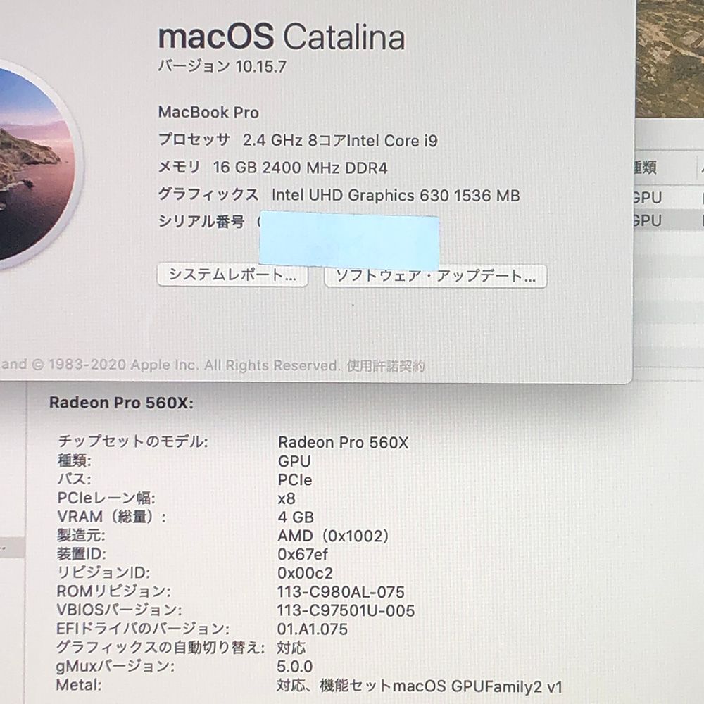 ◇ジャンク品・本体のみ◇Apple MacBook Pro (15インチ, 2019)【i9
