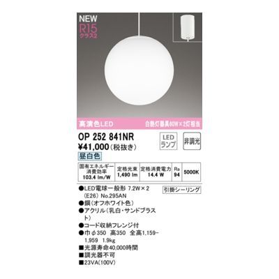 【新品・7営業日以内発送】オーデリック ODELIC OP252841NR ランプ別梱包【沖縄離島販売不可】
