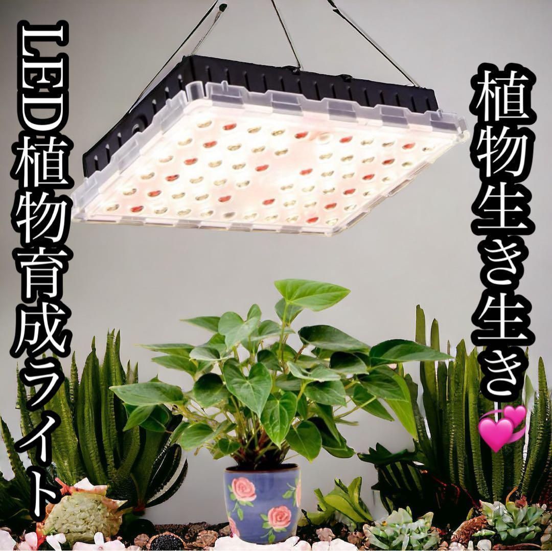 LED植物育成ライト植物栽培ライト太陽のような フルスペクトル4000K 赤色光 660nm 300W HPSランプ相当 家庭菜園 多肉植物 観葉植物  高効率、長寿命 室内水耕栽培温室野菜植物と花種まきから収穫まで (Led 30W +赤色光) - メルカリ