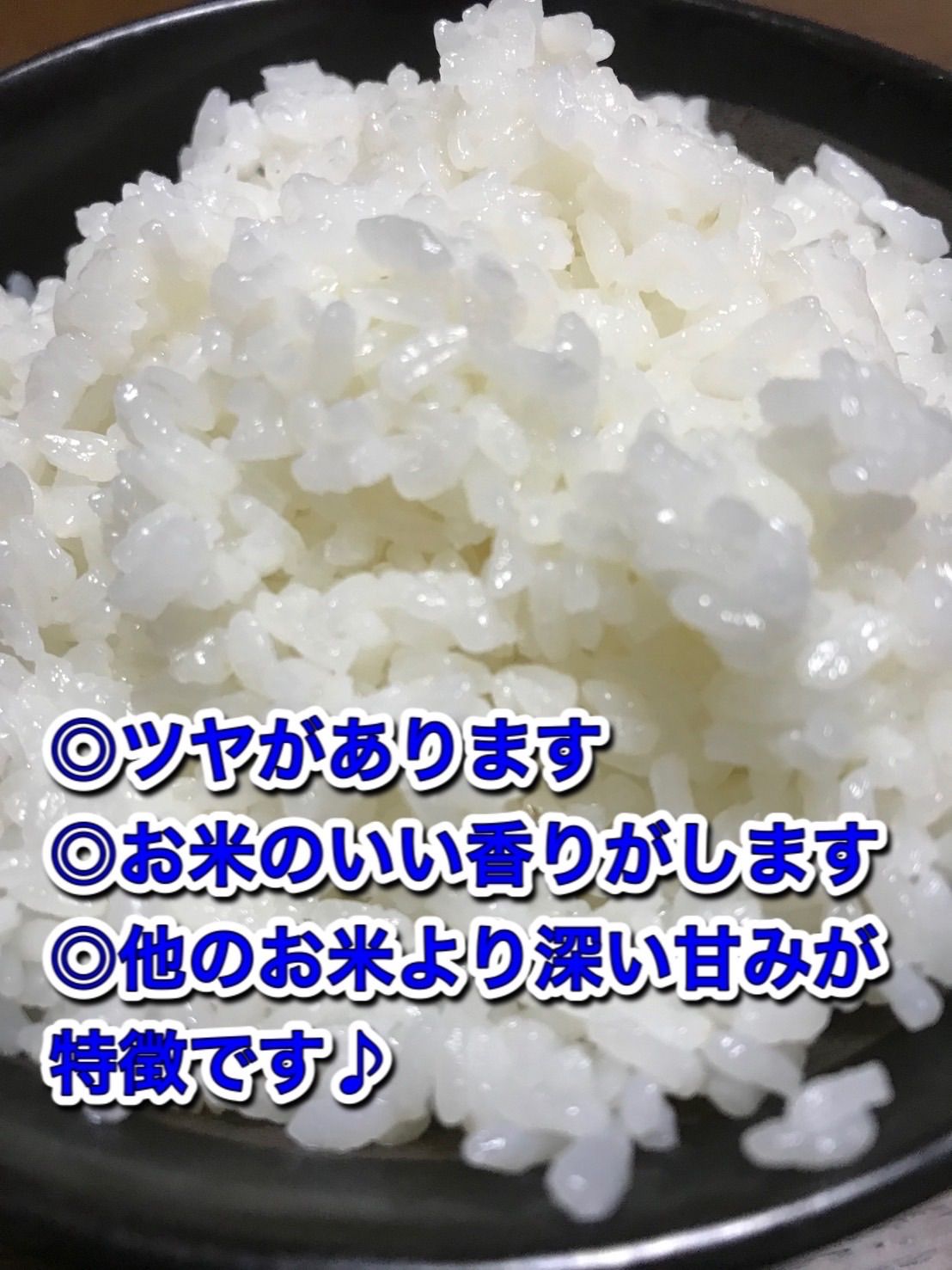 大粒米】コスパ米「極み」20kg(5kg×4袋)お米 白米【令和5