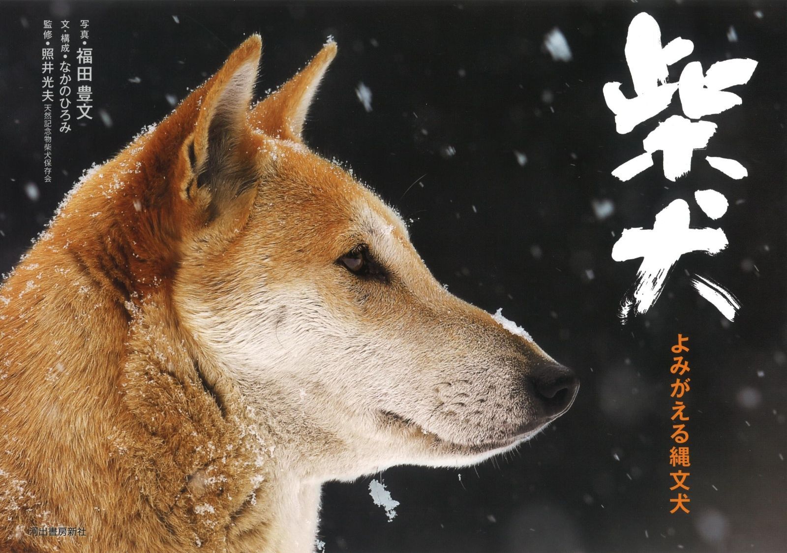 ⑩超美品！斉藤由貴シリーズ 雑誌切り抜き 大量！ファイル綴じ 約340