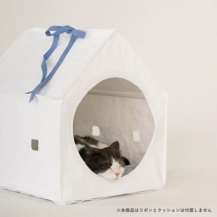 お留守番 いぬ
