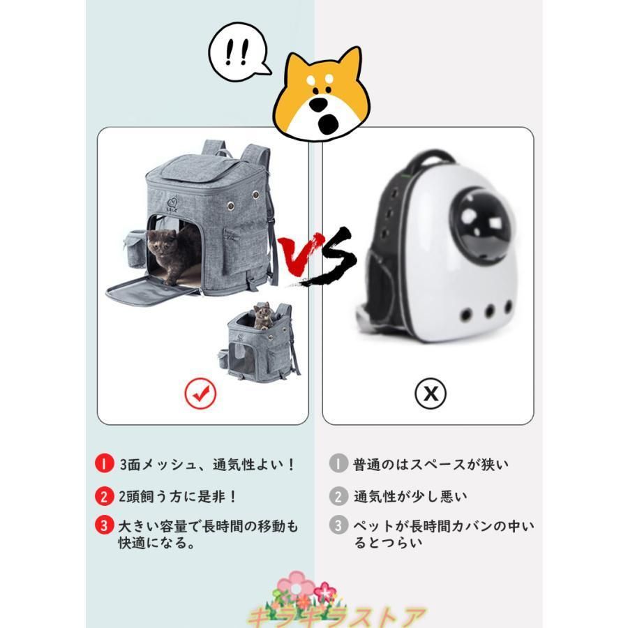 拡張 Ｌサイズ