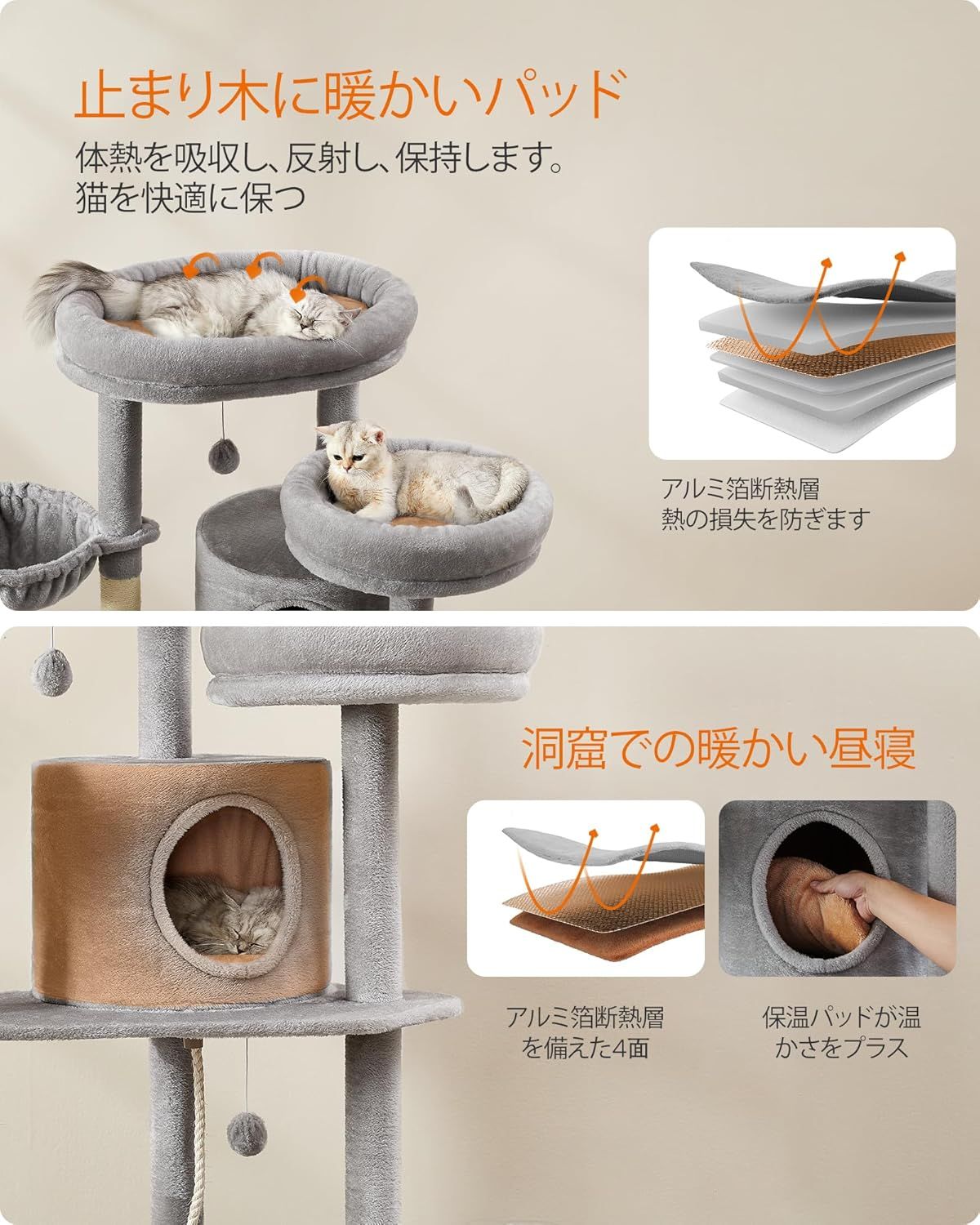 人気