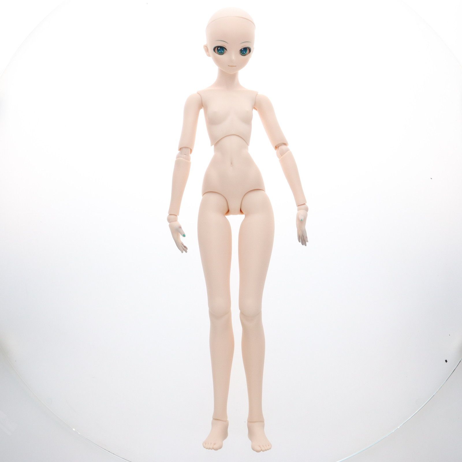 ボークス ドルフィードリーム DD初音ミクNT ボークス DD 初音ミク NT