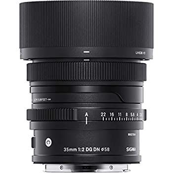35mm F2 DG DN ソニーE用