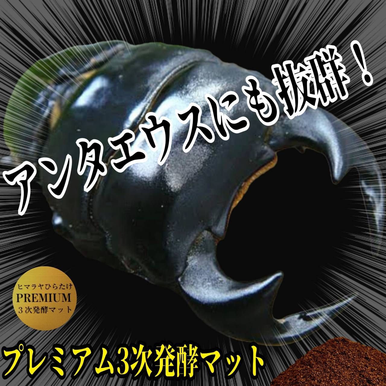 上 3次発酵クワガタマット
