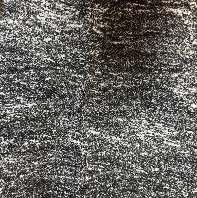 ブラック 黒まだら