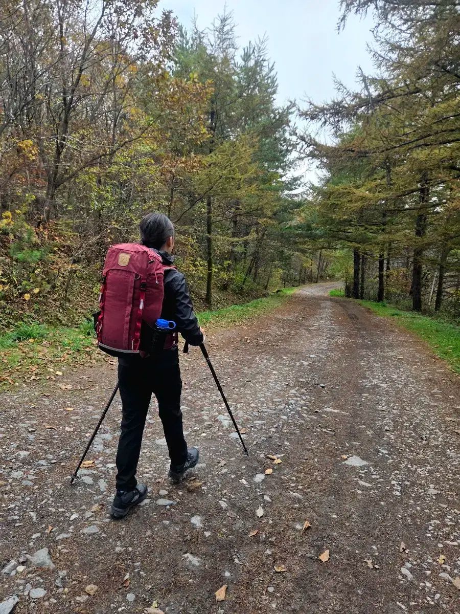 フェールラーベン カズカ ジュニア