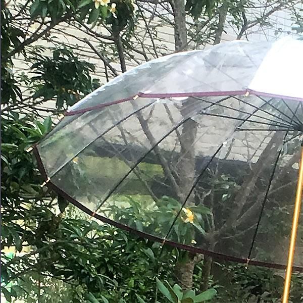 ワイン 天然木いざよいビニール傘