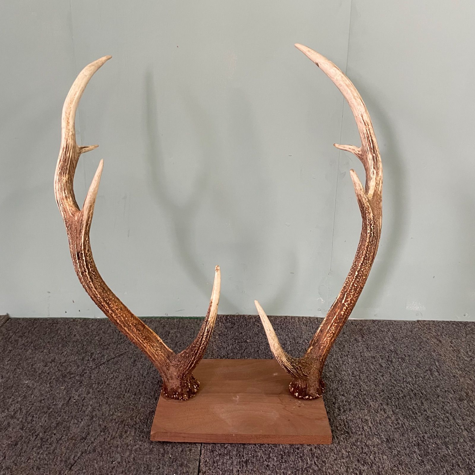 ♭ 鹿角 オブジェ 刀掛け インテリア 鹿 置物 鹿の角 オブジェ」の人気