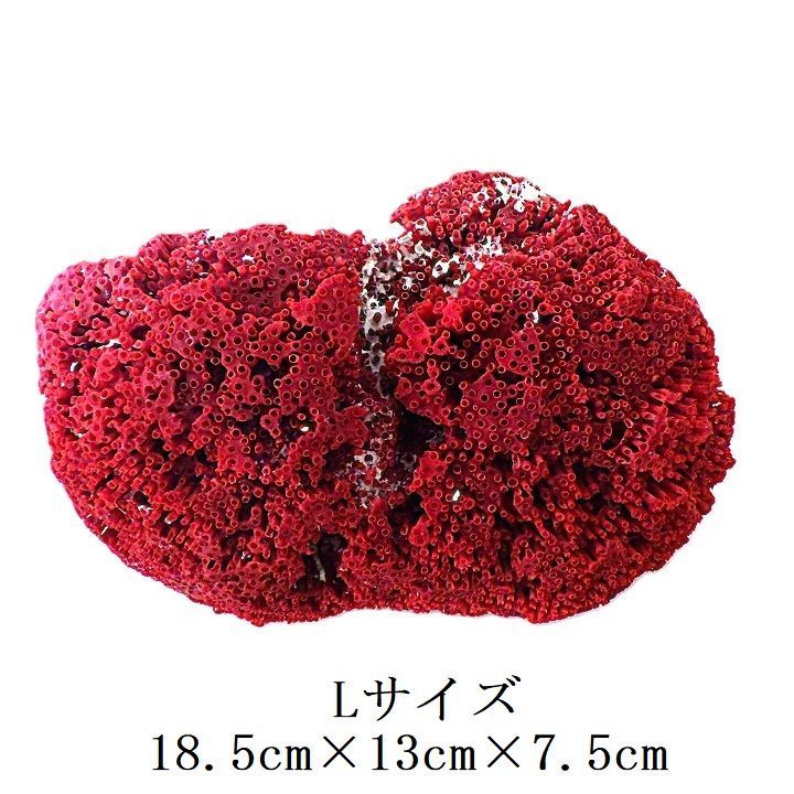 サンゴ 置物 珊瑚礁 サンゴ礁 珊瑚 サンゴ パイプオルガン珊瑚 管珊瑚 赤珊瑚 サンゴ オブジェ インテリア 置物 水槽用 魚用品 ppmspl005