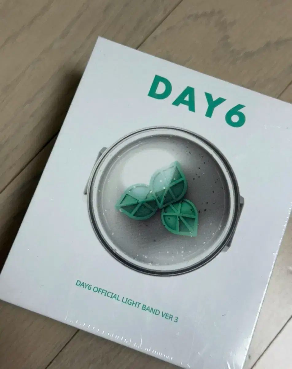 DAY6 デイシックス DAY6 OFFICIAL LIGHT BAND Day6 ペンライト