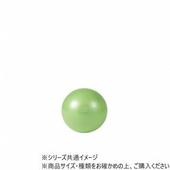 ダンノ DANNO ギムニク ボールPLUS 55 ライムグリーン D5421LMG