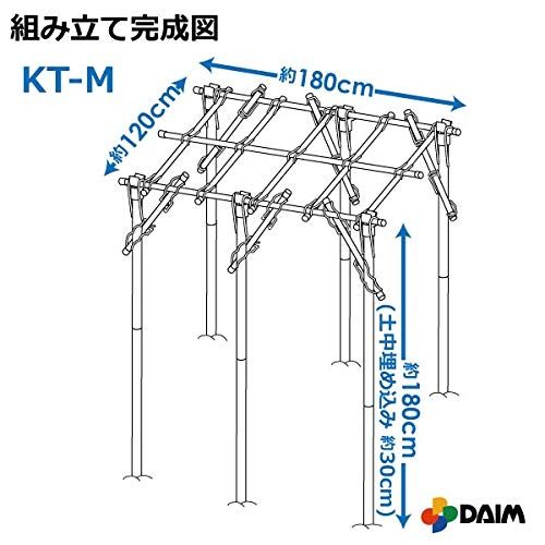 ぶどう 葡萄架