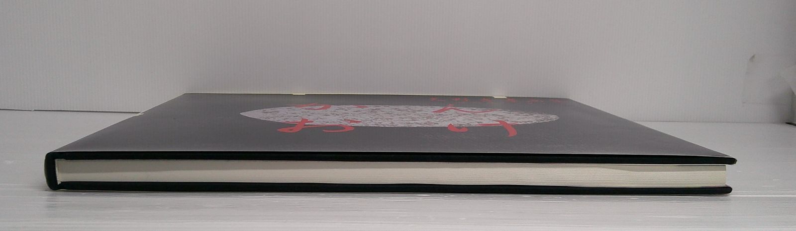 開封品】天野喜孝画集 吸血鬼ハンターD かんおけ【ポスター欠品