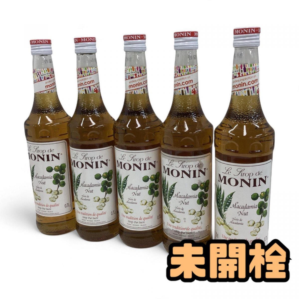 一時販売中止いたしますイチジクVincenzoヴィンチェンツォ発根済 小苗 一時販売中止いたしますイチジクVincenzoヴィンチェンツォ発根済