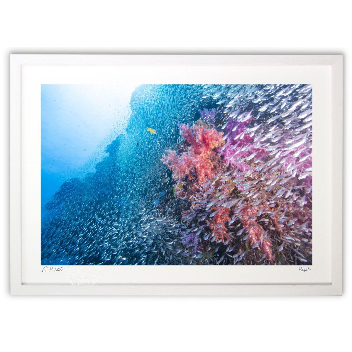 ユーリ!!! on ICE ポスター 劇場版、原画展他 ユーリ!!! on ICE