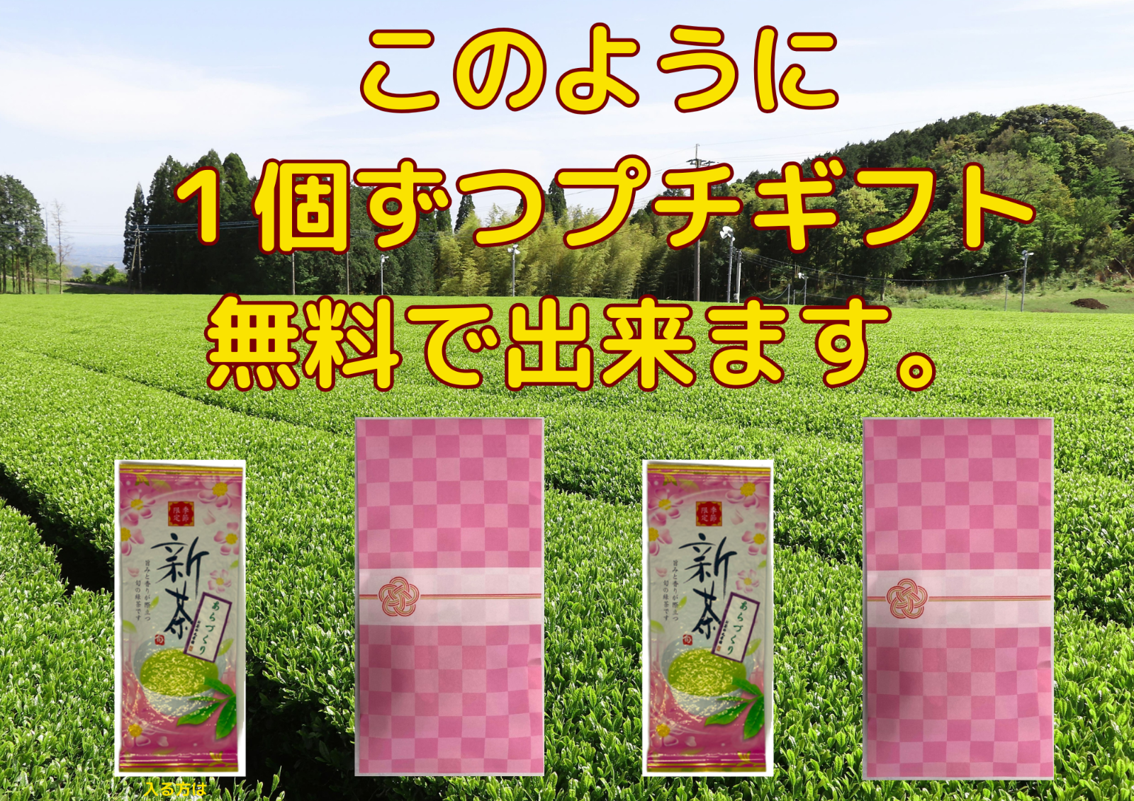 お歳暮　全国 送料無料　新茶　熟成　緑茶　健康 　訳あり　知覧茶あらづくり　100ｇ