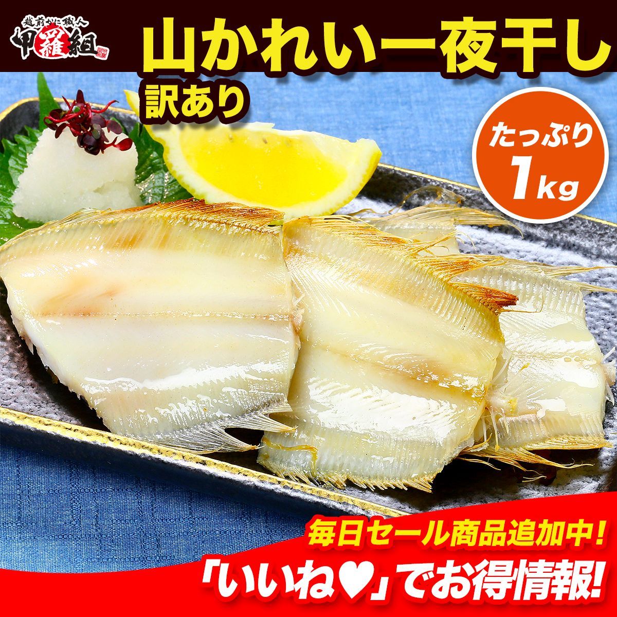 【訳あり】見切り品　日本海の山かれい一夜干し　1kg　食べ放題！ かれい カレイ 鰈 干物 【甲羅組】