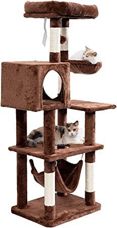 省スペース 猫