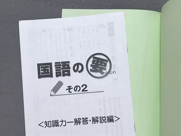 UE11-054 SAPIX 小5 国語 絶対国語力の養成 国語の要 その2 読解力