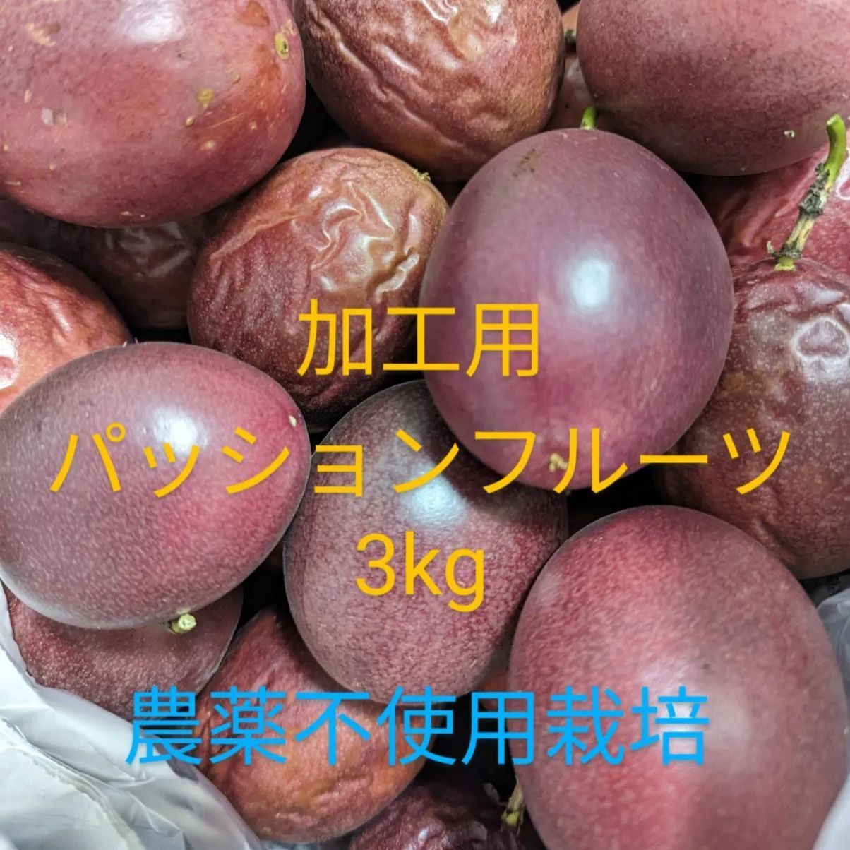 奄美大島産　パッションフルーツ　農薬・化学肥料不使用 奄美大島産 パッションフルーツ 農薬・化学肥料不使用 - メルカリ