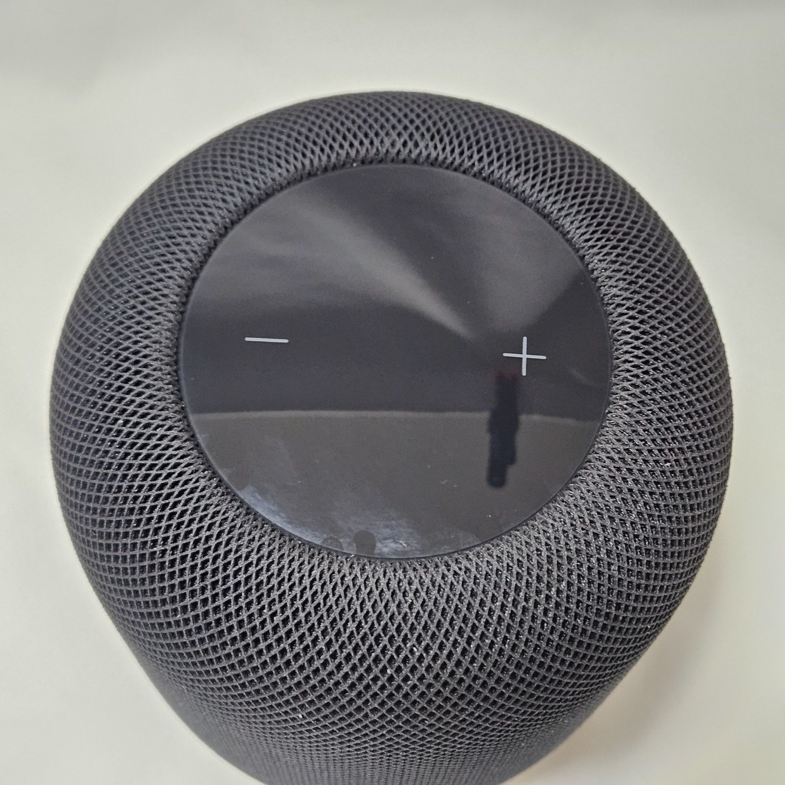 ソテツ　4号ポットつき　5株❗　① ソテツ 4号ポットつき 5株❗ ② ソテツ 4号ポットつき 15株