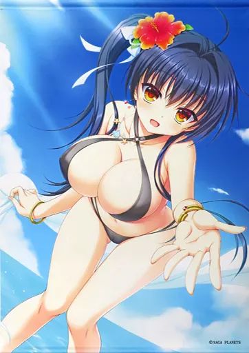 Amazon.co.jp: ND タペストリー 無地 特大 230×180cm モノトーン
