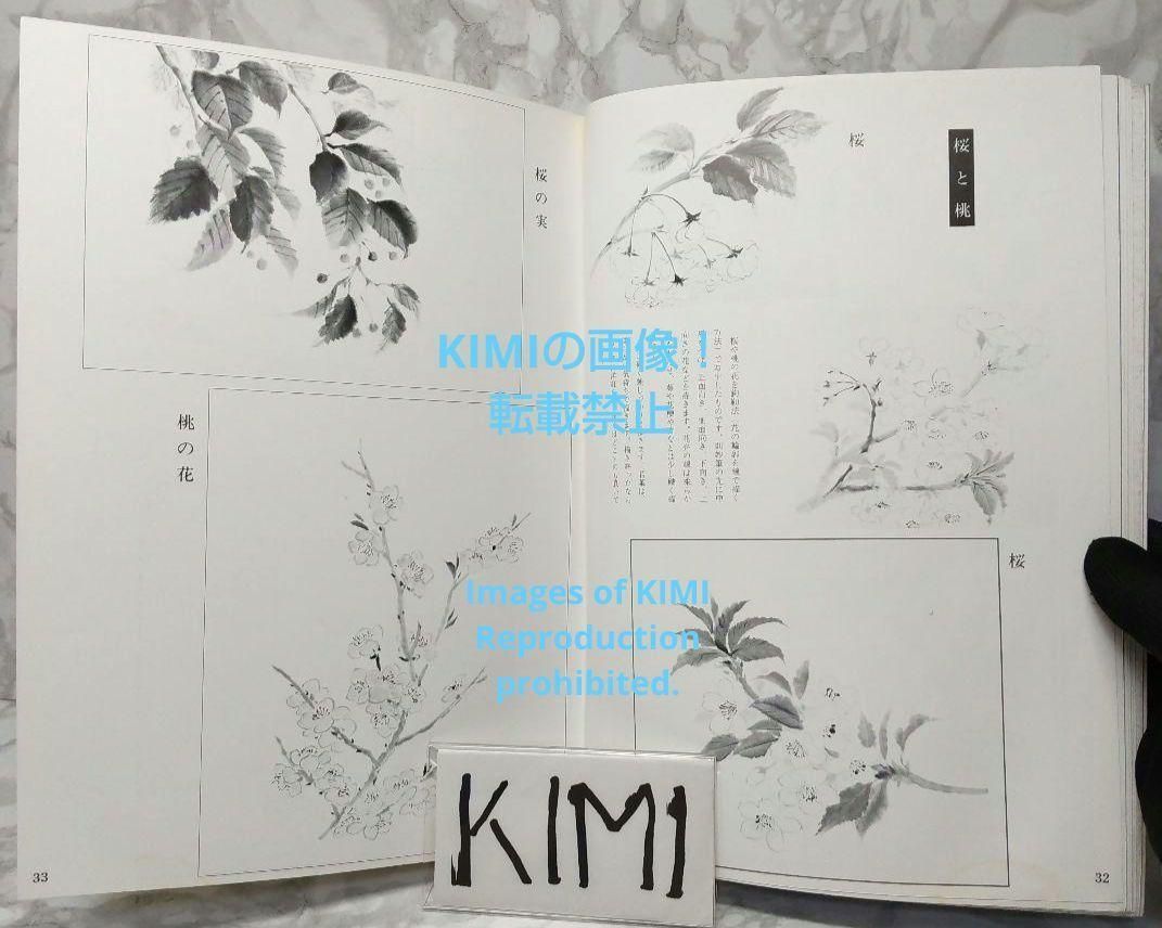 Flower and Bird Paintings Large size book 2009/8/1 Yamada Tamakumo