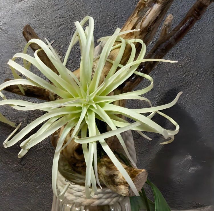 光触媒 人工観葉植物 ウォールグリーン フェイクグリーン 壁掛け 光触媒 人工観葉植物 ウォールグリーン フェイクグリーン 壁掛け
