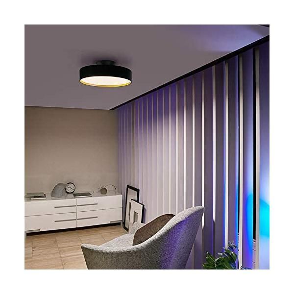 Glow LED-ceiling light 4000 Glow 4000 LED-ceiling light（約8畳用）