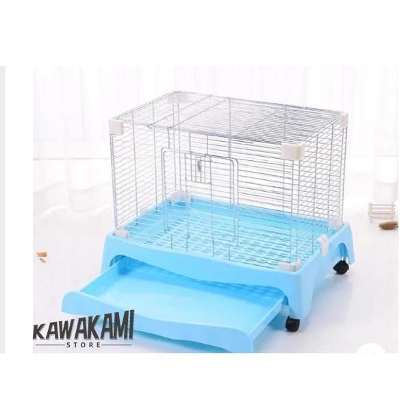 ウサギ 小動物