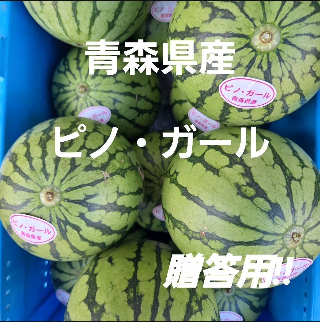 ４玉・メル便・北海道・ユカママ・ピノガール d14585d913ab2ba752cd1aa45b1e78