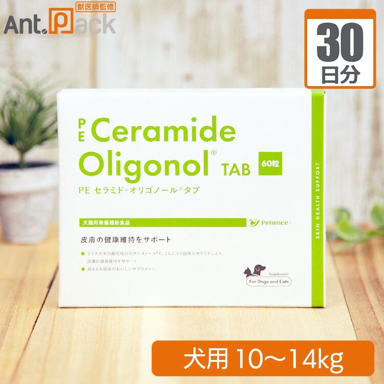 額装品/Mondo ショーンオブザデッド 限定325枚/ポスター/インテリア