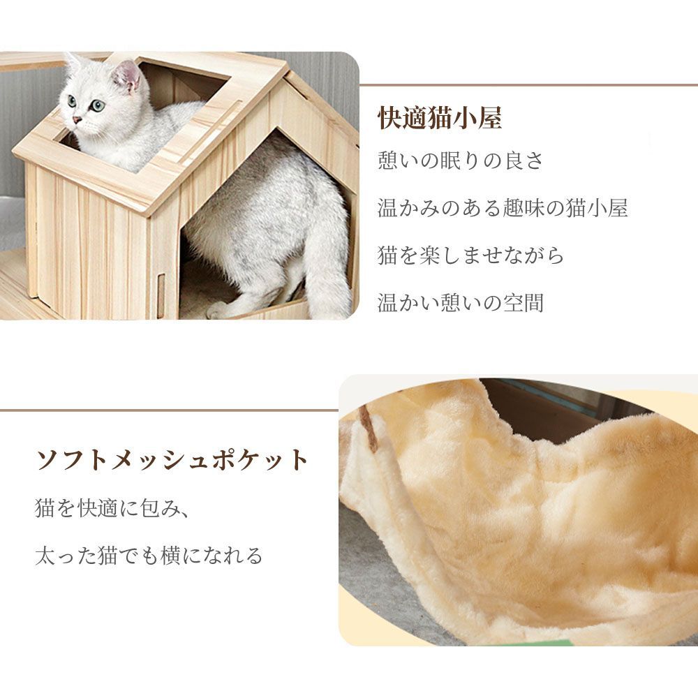 運動不足解消 爪磨き