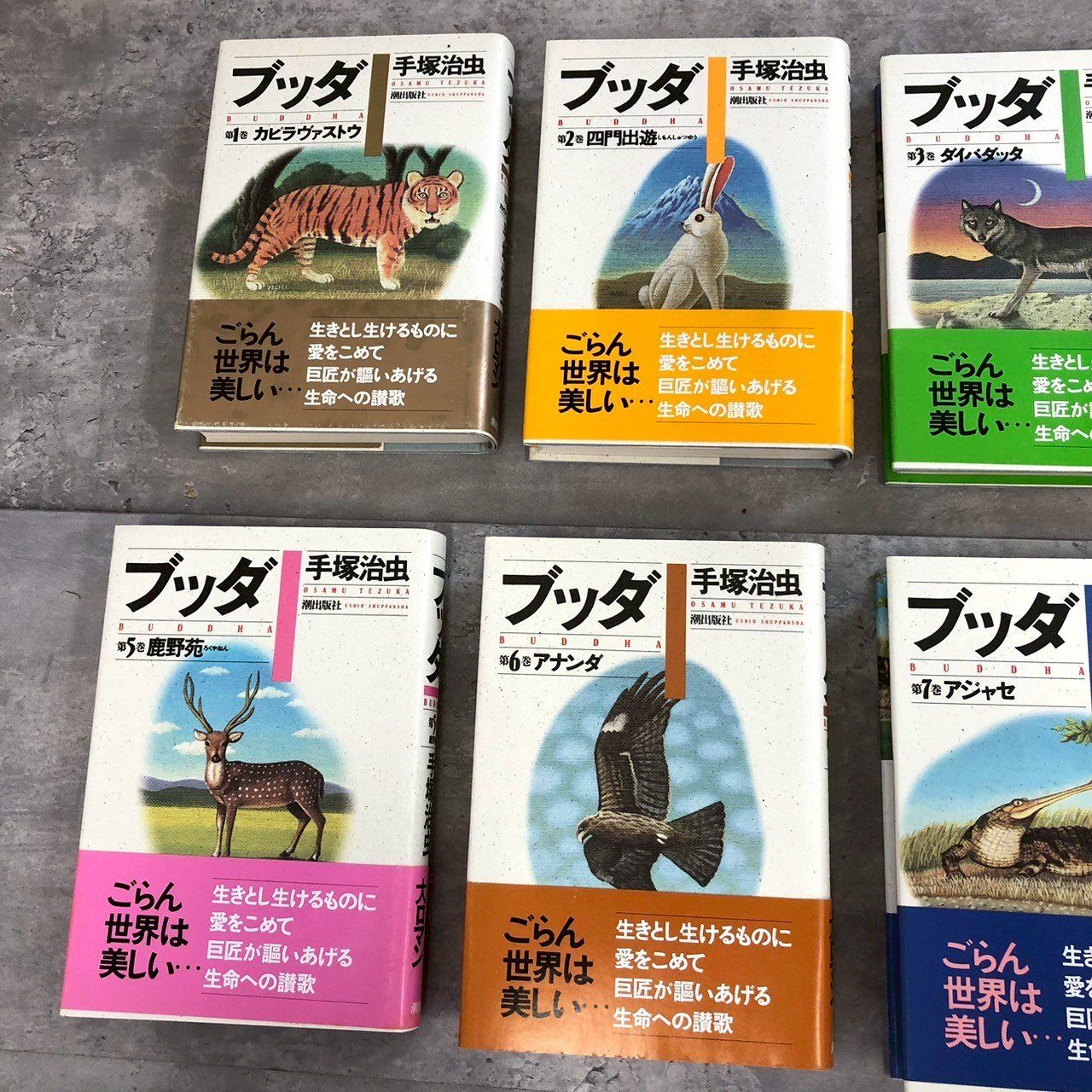 ブッダ ハードカバー 全8巻セット