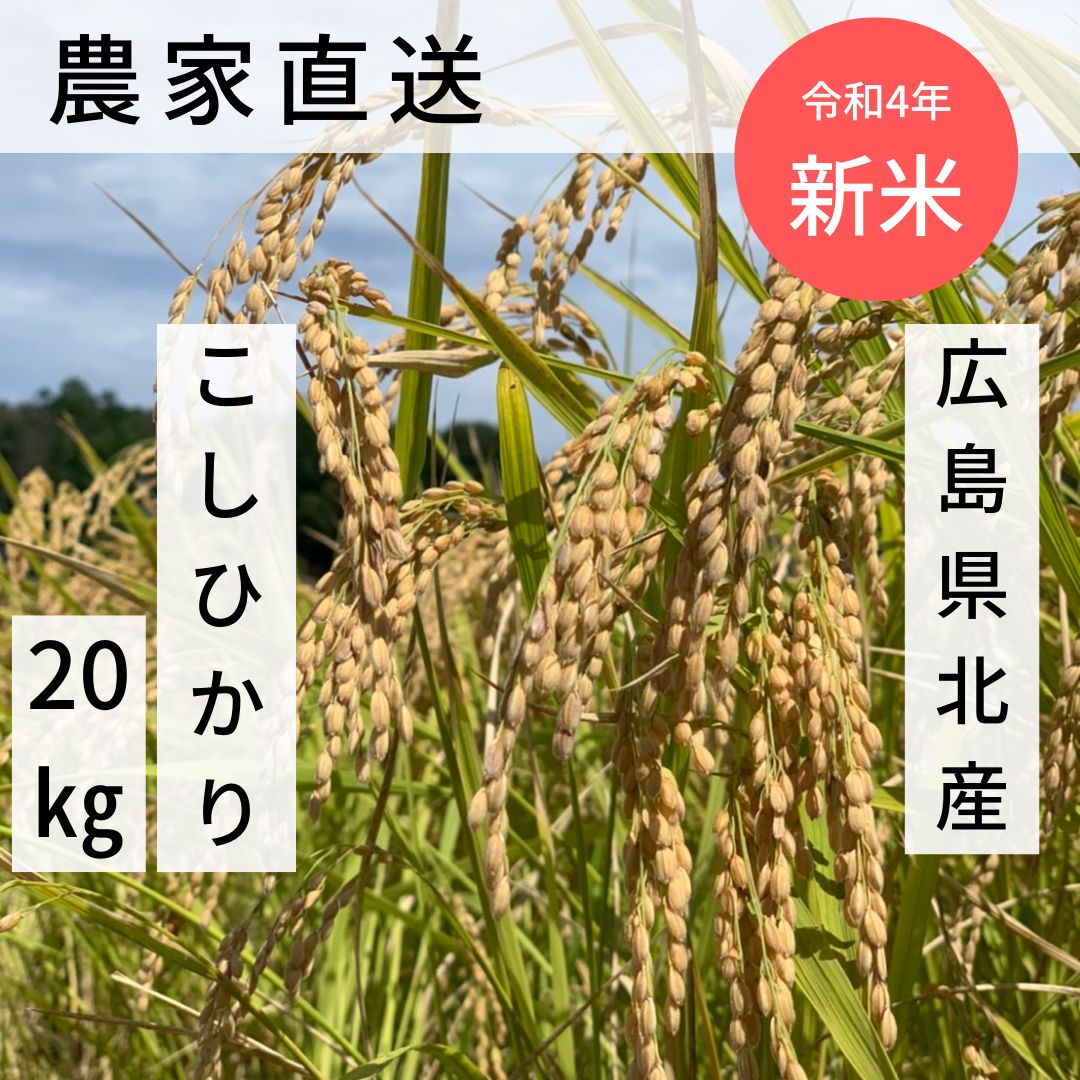 新米 令和4年！！コシヒカリ！農家直売！！ - 食品