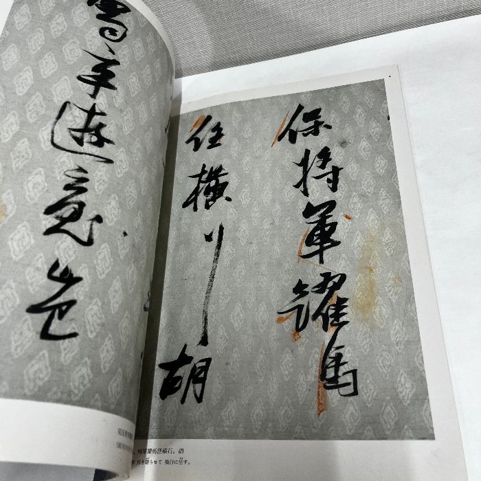 張瑞図の書法 2巻セット 張瑞図の書法 全3冊揃(張瑞図 書 広津雲仙 編) / 長島書店