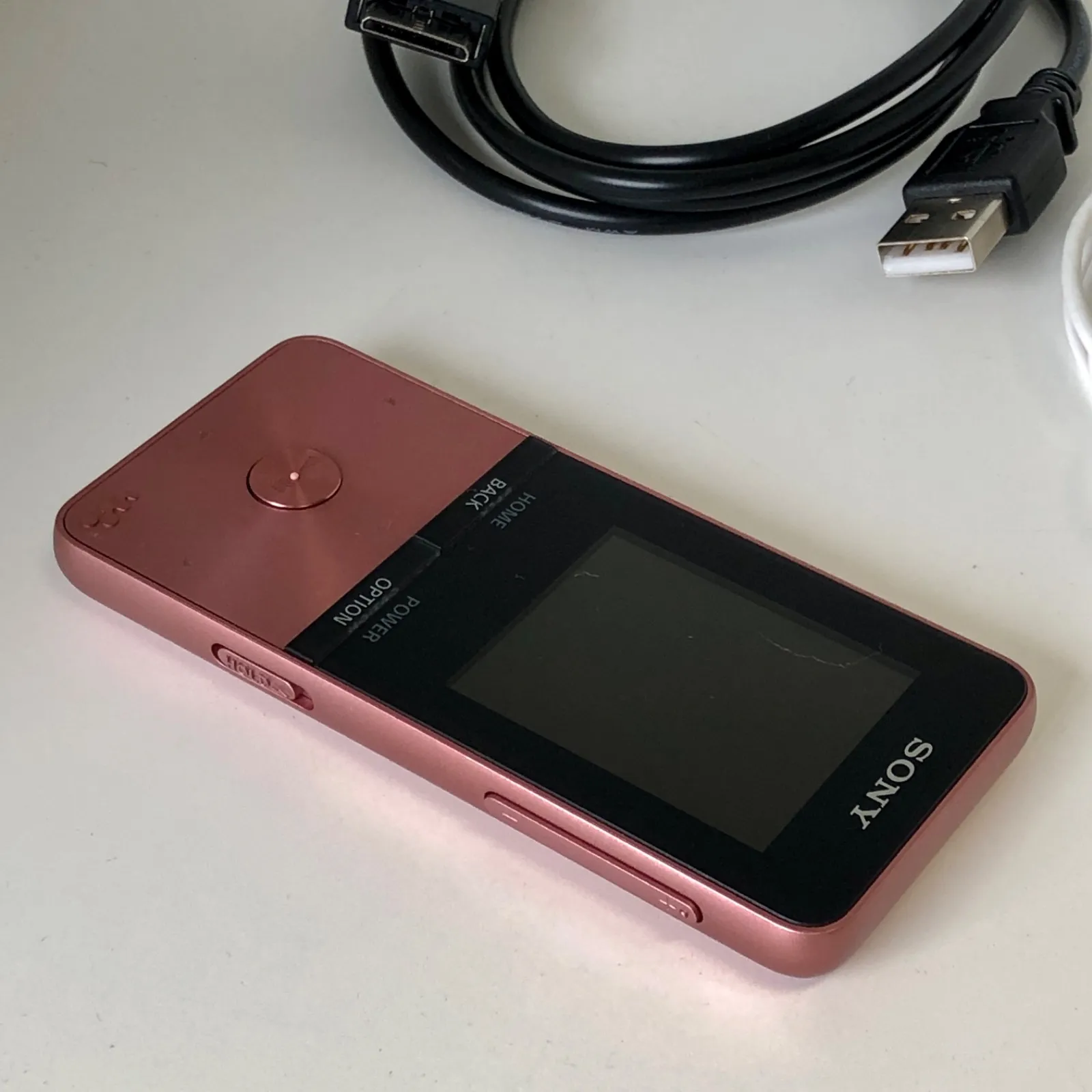 SONY ウォークマン SONY WALKMAN NW-S313 3.20GB | Buyee日本代購服務