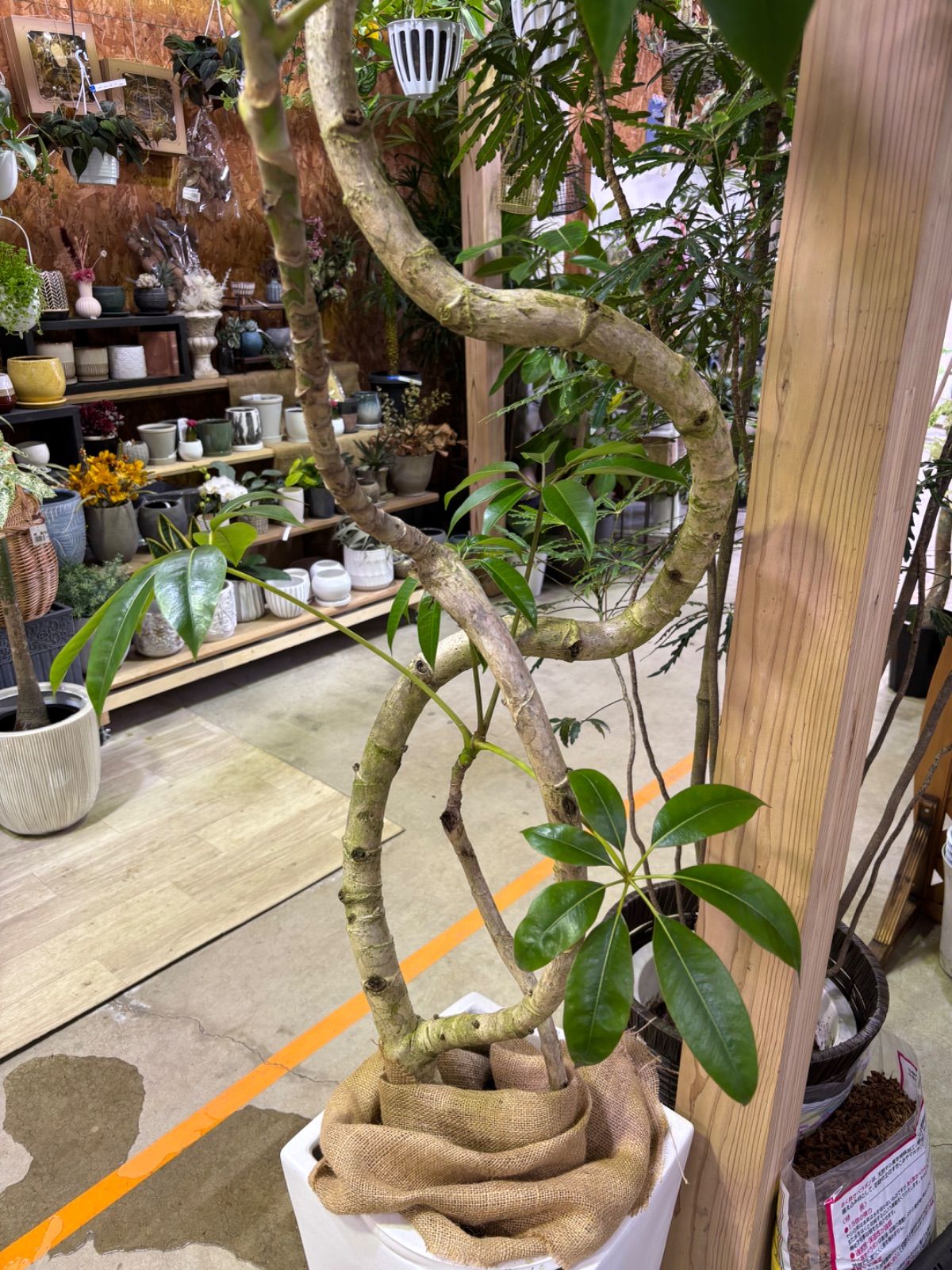 フリーローテーブル 150×60 ブラック フリーローテーブル 150×60 ロー