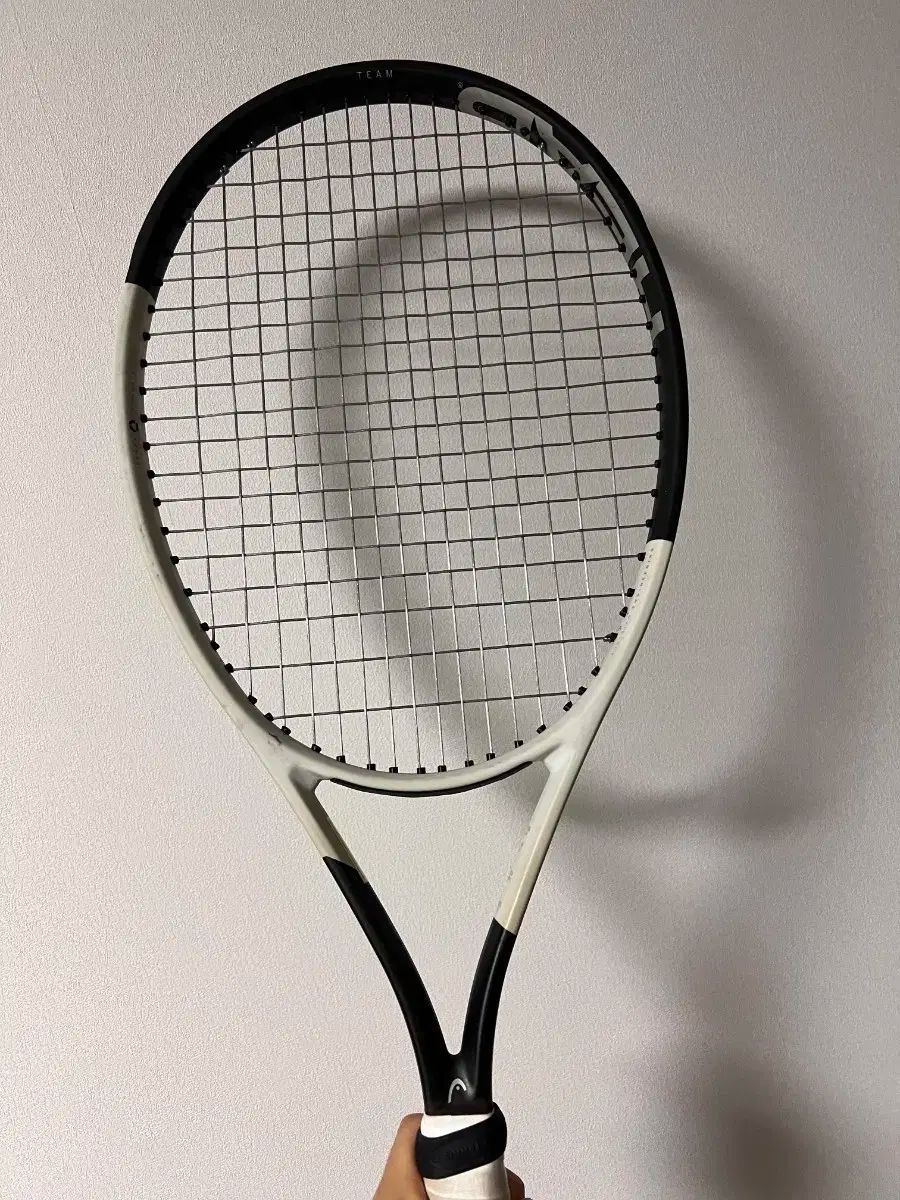 ヘッドスピード ラケット 2 犬 販売