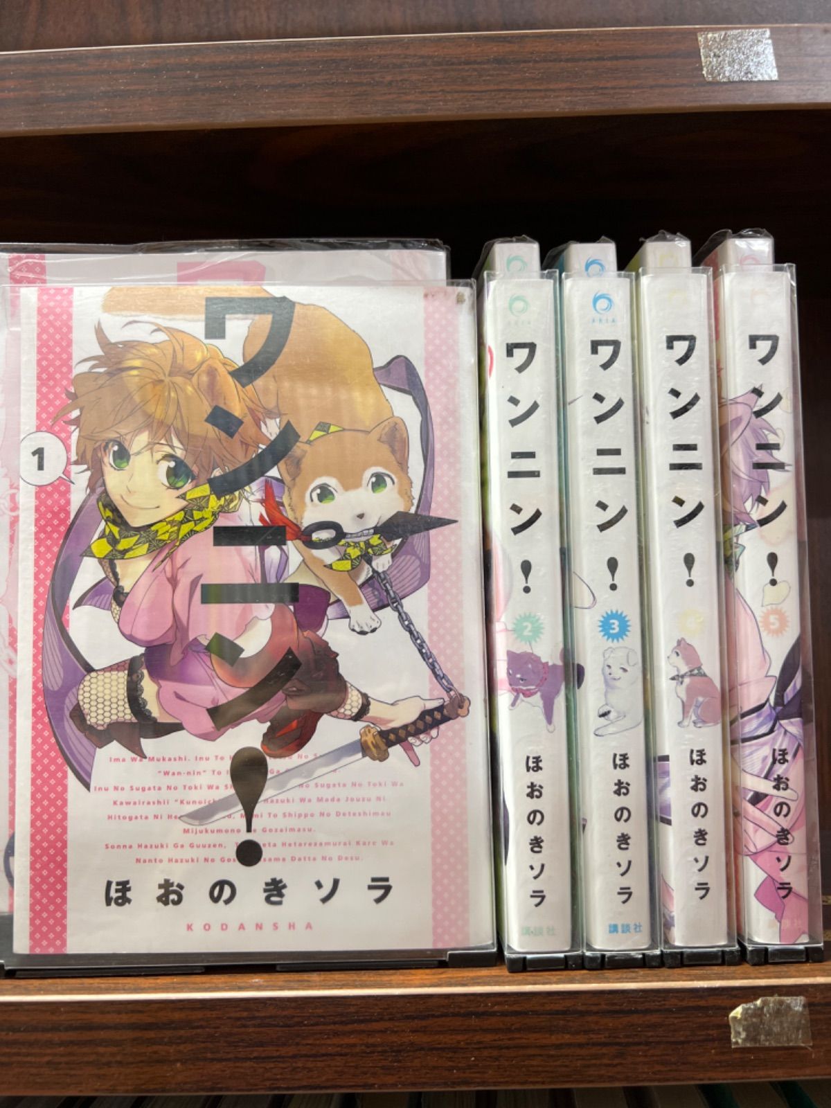 ワンニン! コミック 1-5巻セット (ARIA)