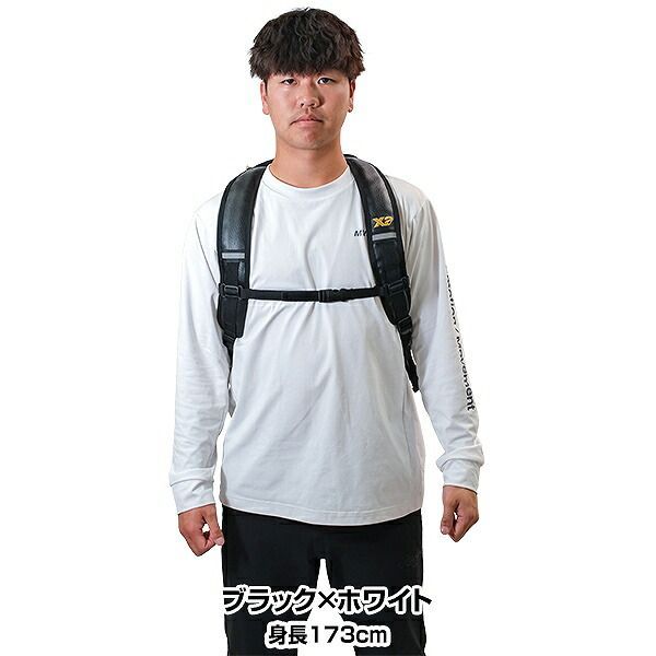 大型 ザナックス