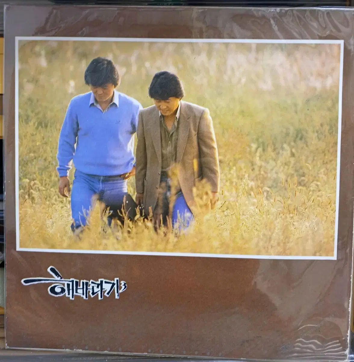 88 年 ひまわり LP 92 公演後 メンバー サインブック NM