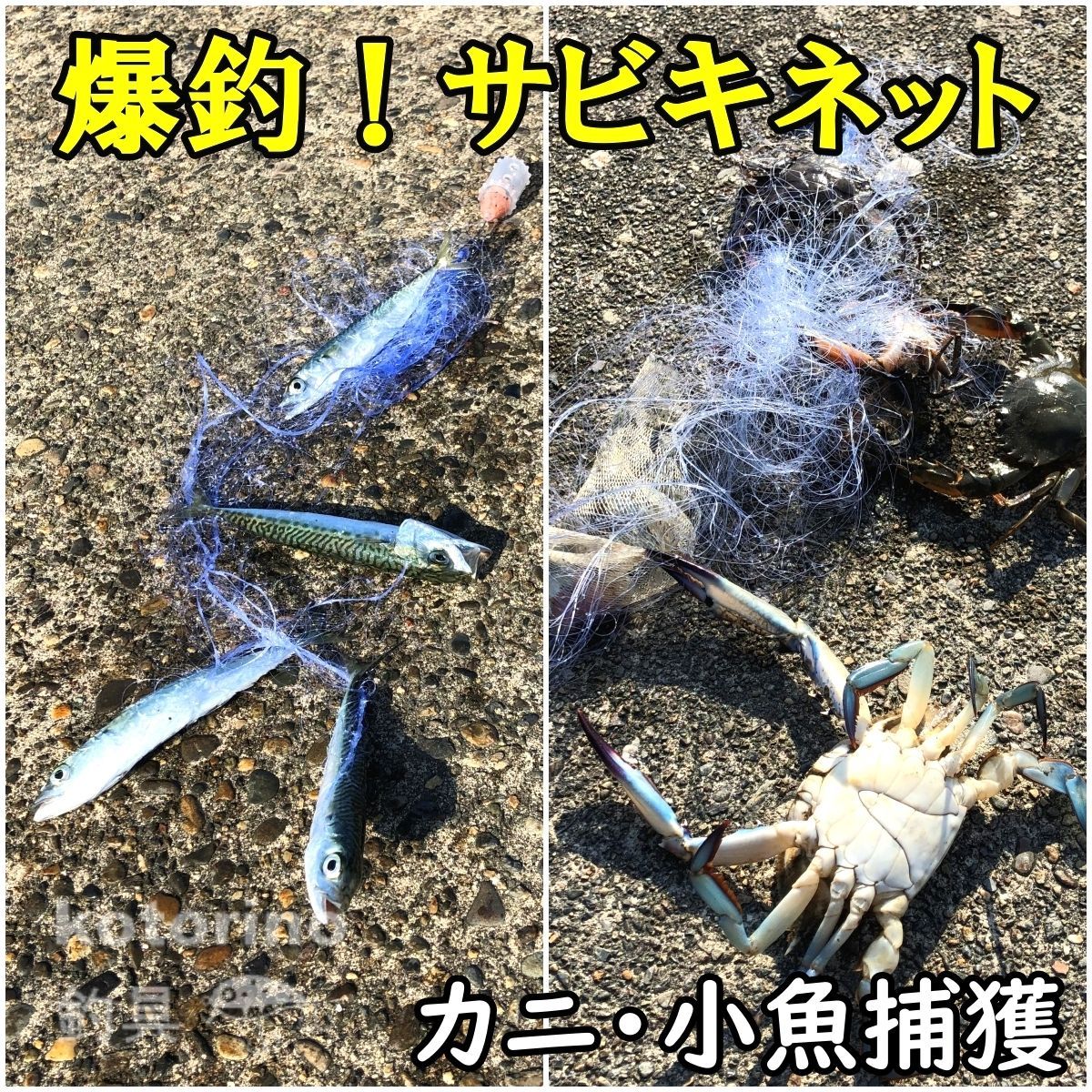 サビキネット サビキ 仕掛け カニ網 カニ釣り カニ捕り ワタリガニ 