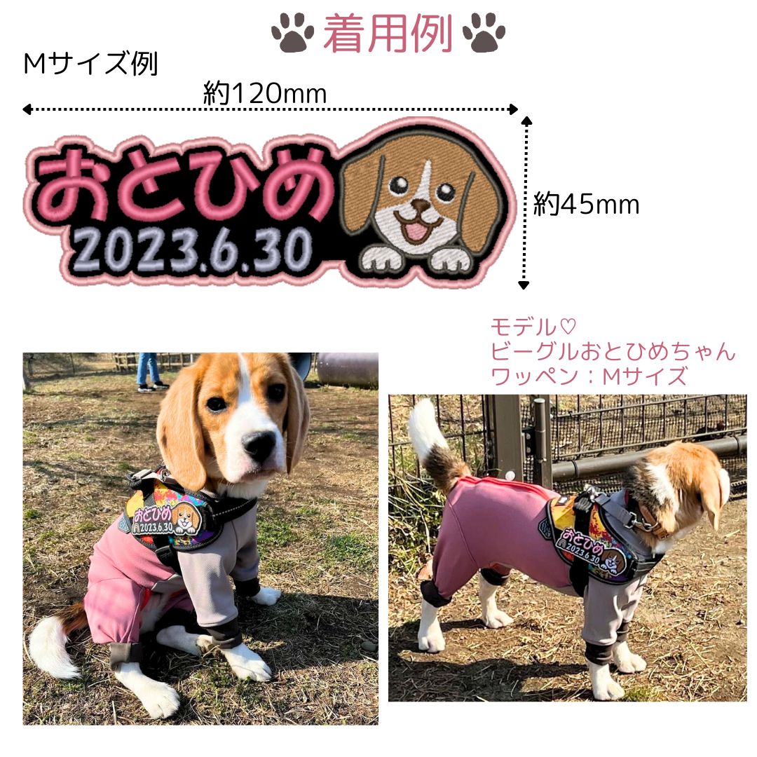 ユリウス k9 のぞきワンコ 刺繍ワッペン ネームタグ ネームラベル ネームタグ julius k9 ハーネス うちのこ グッズ キロナイナー  オーダーメイド カスタム - メルカリ