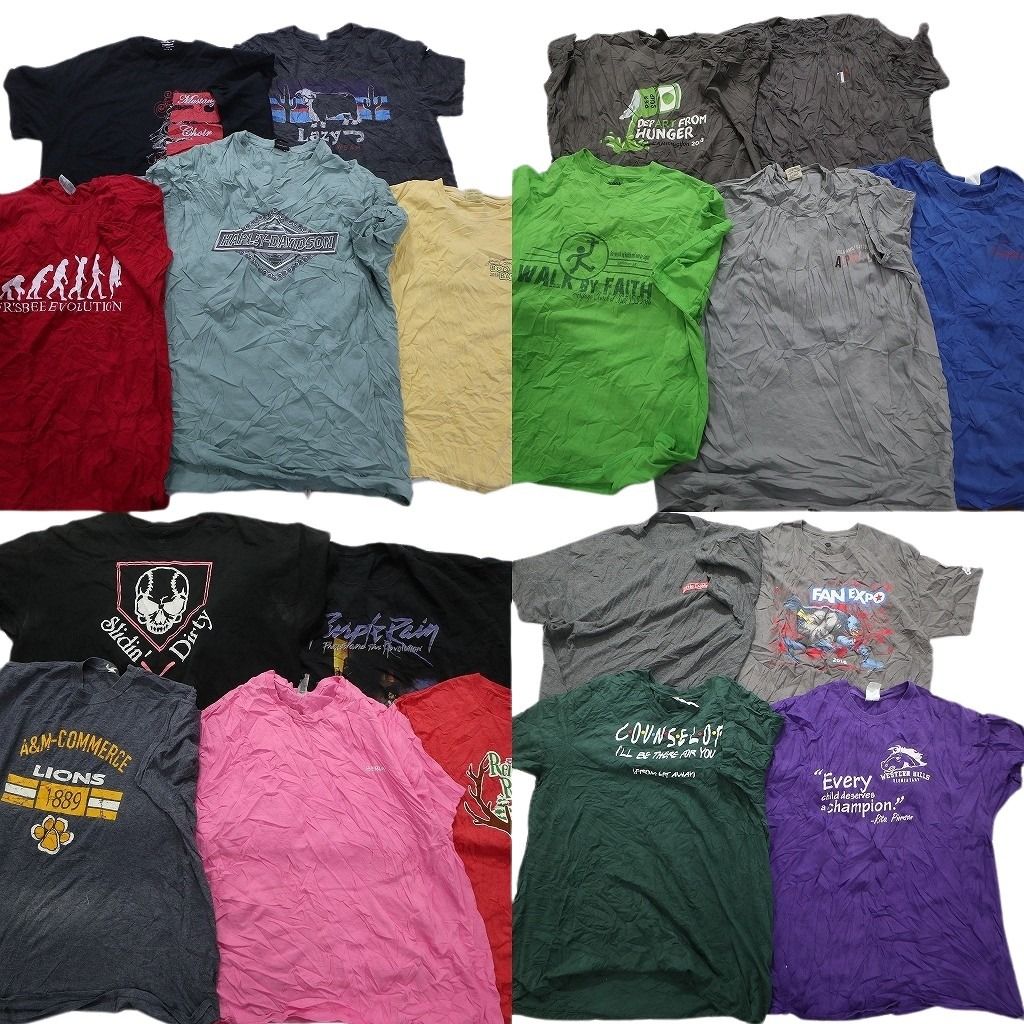 古着卸 まとめ売り カラーmix プリント 半袖Tシャツ 19枚セット (メンズ XL /2XL ) ハーレーダビッドソン ワンポイントロゴ スカル MS3003
