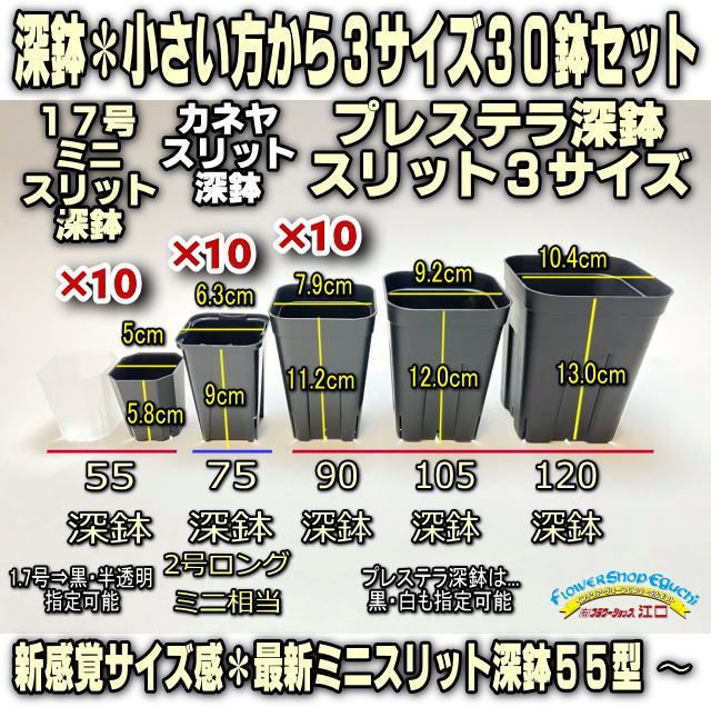 深鉢小さい方から3サイズ＊ミニスリット55型(黒・半透明選択)×10