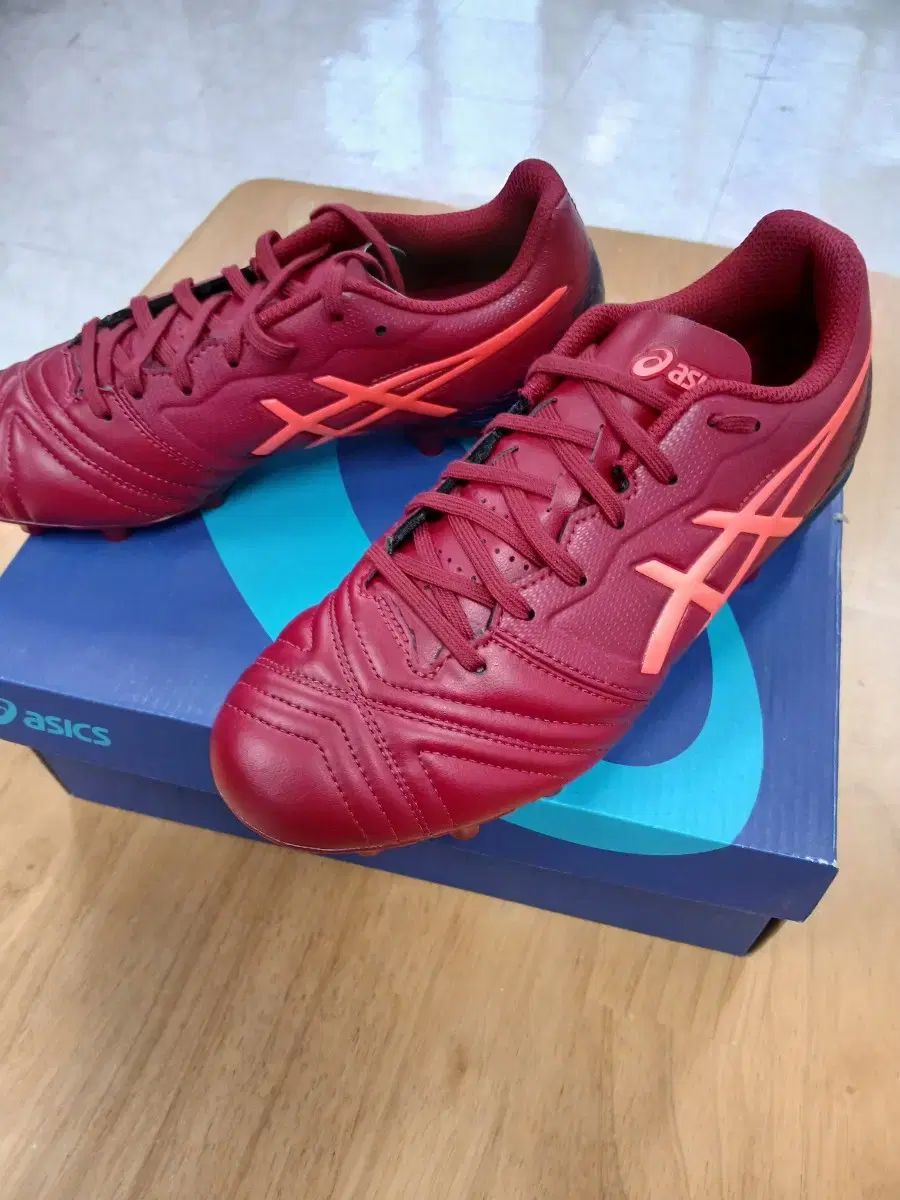 Asics(アシックス) サッカーシューズ DS ライト WB 1103a018 ー 600